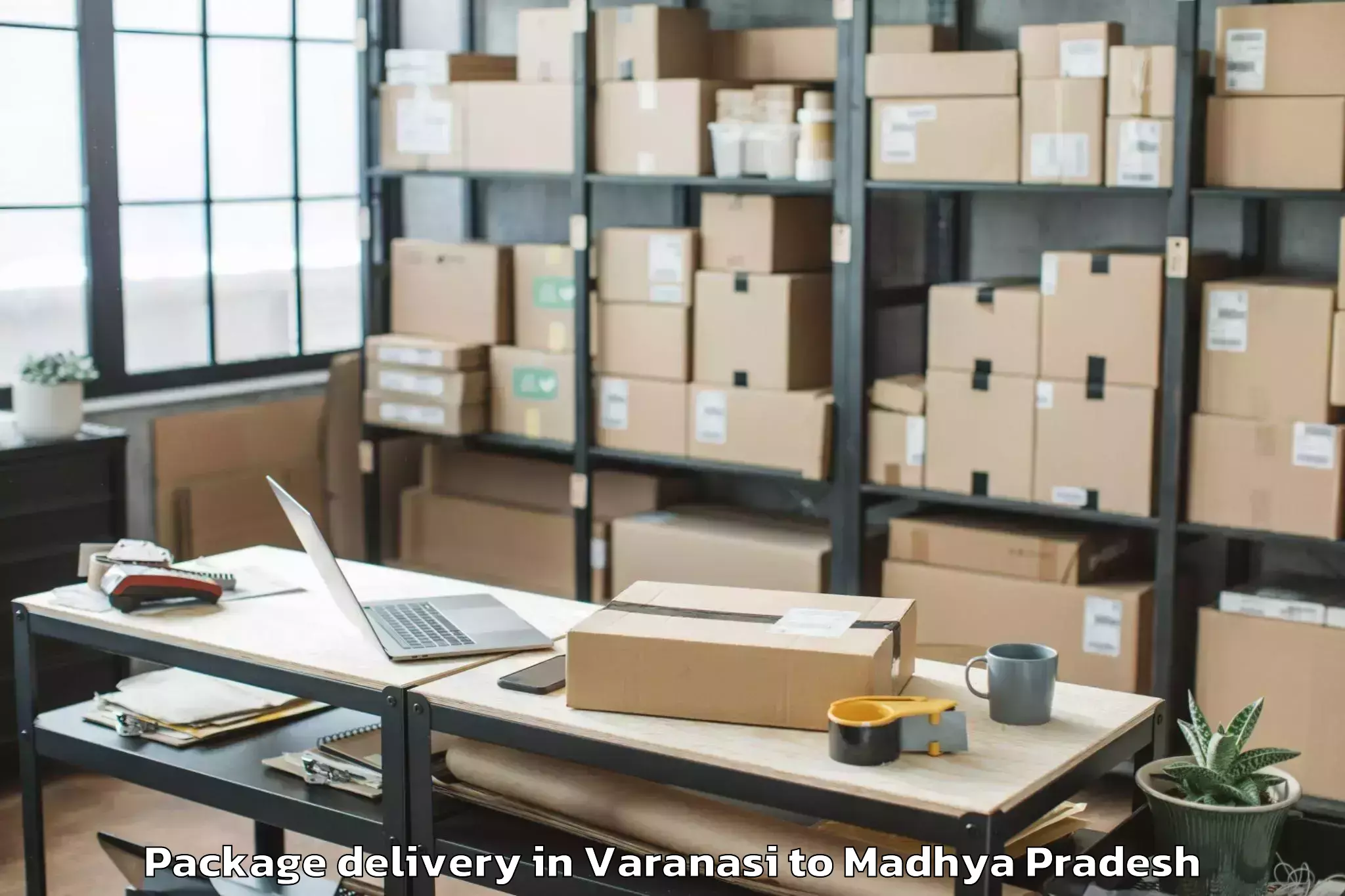 Quality Varanasi to Petlawad Package Delivery